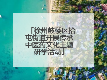 徐州鼓楼区拾屯街道开展传承中医药文化主题研学活动