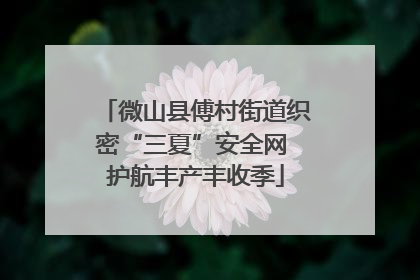 微山县傅村街道织密“三夏”安全网 护航丰产丰收季