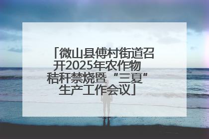 微山县傅村街道召开2025年农作物秸秆禁烧暨“三夏”生产工作会议