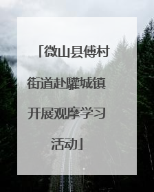 微山县傅村街道赴驩城镇开展观摩学习活动