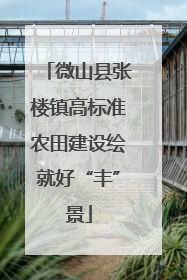 微山县张楼镇高标准农田建设绘就好“丰”景