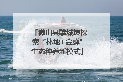 微山县驩城镇探索“林地+金蝉”生态种养新模式