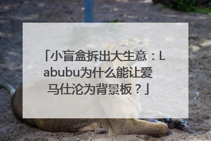 小盲盒拆出大生意：Labubu为什么能让爱马仕沦为背景板？