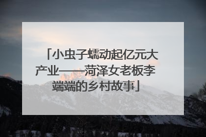 小虫子蠕动起亿元大产业——菏泽女老板李端端的乡村故事