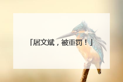 屠文斌，被重罚！
