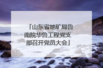山东省地矿局鲁南院华鲁工程党支部召开党员大会