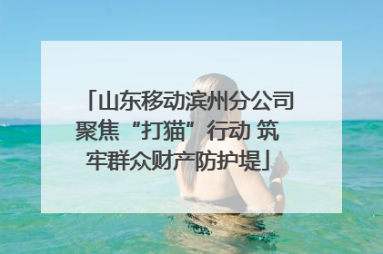 山东移动滨州分公司聚焦“打猫”行动 筑牢群众财产防护堤