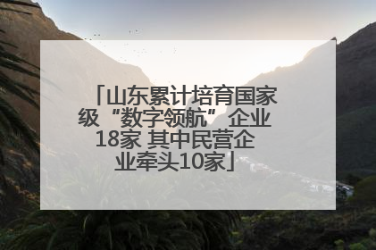 山东累计培育国家级“数字领航”企业18家 其中民营企业牵头10家