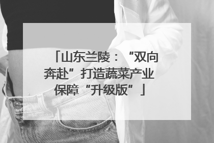 山东兰陵：“双向奔赴”打造蔬菜产业保障“升级版”