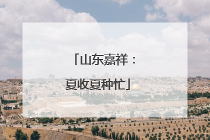 山东嘉祥：夏收夏种忙