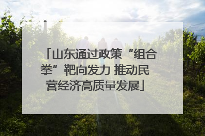 山东通过政策“组合拳”靶向发力 推动民营经济高质量发展