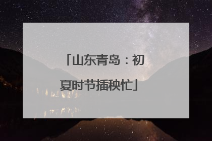 山东青岛：初夏时节插秧忙
