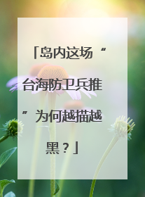 岛内这场“台海防卫兵推”为何越描越黑？