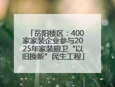 岳阳楼区：400家家装企业参与2025年家装厨卫“以旧换新”民生工程