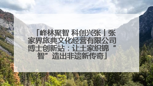 峰林聚智 科创兴张丨张家界旅典文化经营有限公司博士创新站：让土家织锦“智”造出非遗新传奇