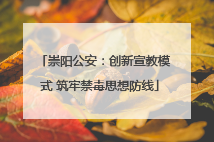 崇阳公安：创新宣教模式 筑牢禁毒思想防线