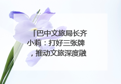 巴中文旅局长齐小莉：打好三张牌，推动文旅深度融合｜文旅局长说