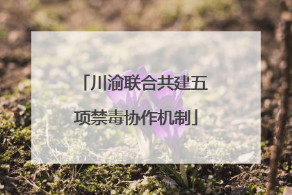 川渝联合共建五项禁毒协作机制