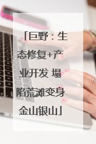 巨野：生态修复+产业开发 塌陷荒滩变身金山银山
