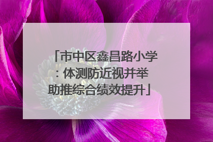 市中区鑫昌路小学：体测防近视并举 助推综合绩效提升