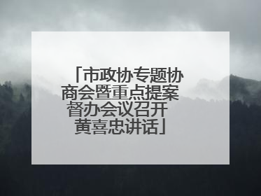 市政协专题协商会暨重点提案督办会议召开 黄喜忠讲话