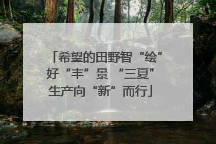 希望的田野智“绘”好“丰”景 “三夏”生产向“新”而行