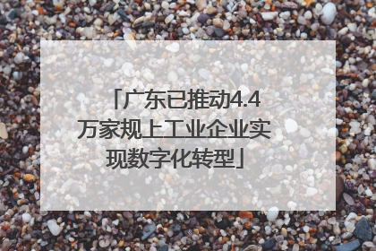 广东已推动4.4万家规上工业企业实现数字化转型