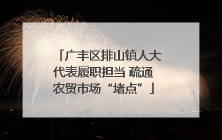 广丰区排山镇人大代表履职担当 疏通农贸市场“堵点”