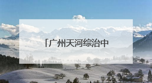 广州天河综治中心探索规范化建设“前进模式”