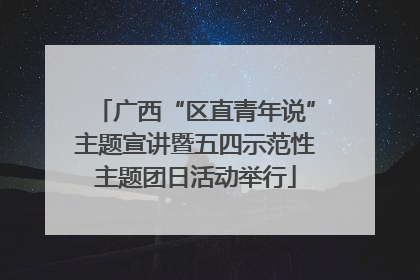 广西“区直青年说”主题宣讲暨五四示范性主题团日活动举行