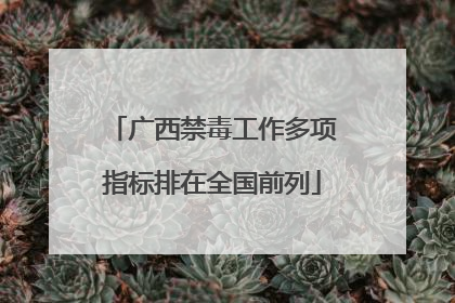 广西禁毒工作多项指标排在全国前列