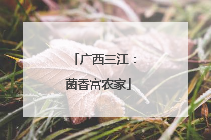 广西三江：菌香富农家
