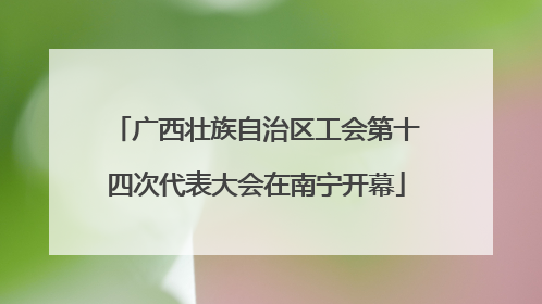 广西壮族自治区工会第十四次代表大会在南宁开幕