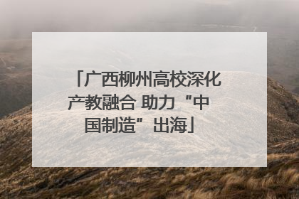 广西柳州高校深化产教融合 助力“中国制造”出海