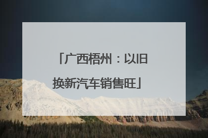 广西梧州：以旧换新汽车销售旺