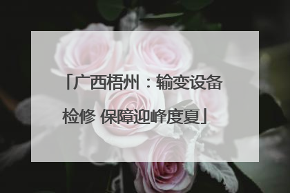广西梧州：输变设备检修 保障迎峰度夏