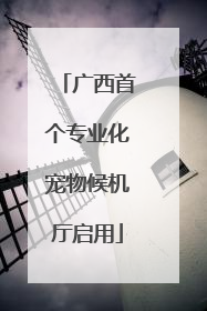 广西首个专业化宠物候机厅启用