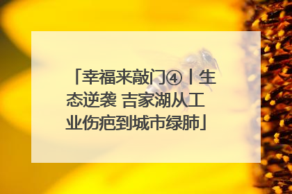 幸福来敲门④丨生态逆袭 吉家湖从工业伤疤到城市绿肺