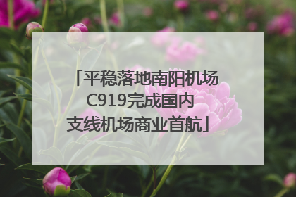 平稳落地南阳机场 C919完成国内支线机场商业首航