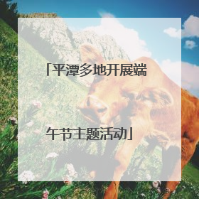 平潭多地开展端午节主题活动