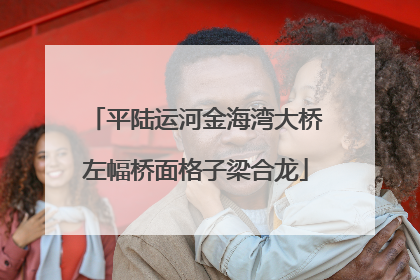 平陆运河金海湾大桥左幅桥面格子梁合龙