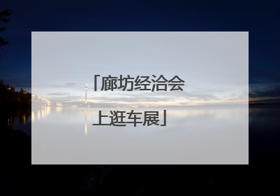 廊坊经洽会上逛车展