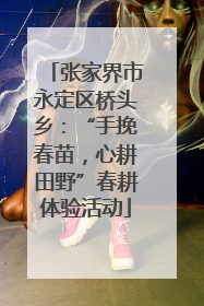 张家界市永定区桥头乡：“手挽春苗，心耕田野”春耕体验活动