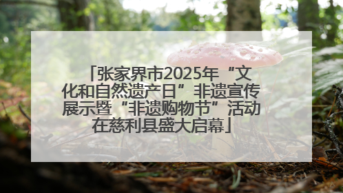 张家界市2025年“文化和自然遗产日”非遗宣传展示暨“非遗购物节”活动在慈利县盛大启幕