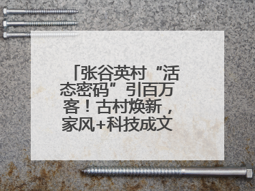 张谷英村“活态密码”引百万客！古村焕新，家风+科技成文旅融合新爆点