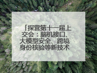 探营第十一届上交会：脑机接口、大模型安全、跨境身份核验等新技术将悉数亮相