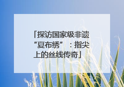 探访国家级非遗“夏布绣”：指尖上的丝线传奇