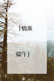 情系端午