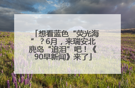 想看蓝色“荧光海”？6月，来瑞安北麂岛“追泪”吧！《90早新闻》来了