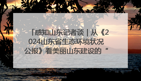 感知山东记者谈｜从《2024山东省生态环境状况公报》看美丽山东建设的“成绩单”与“任务书”